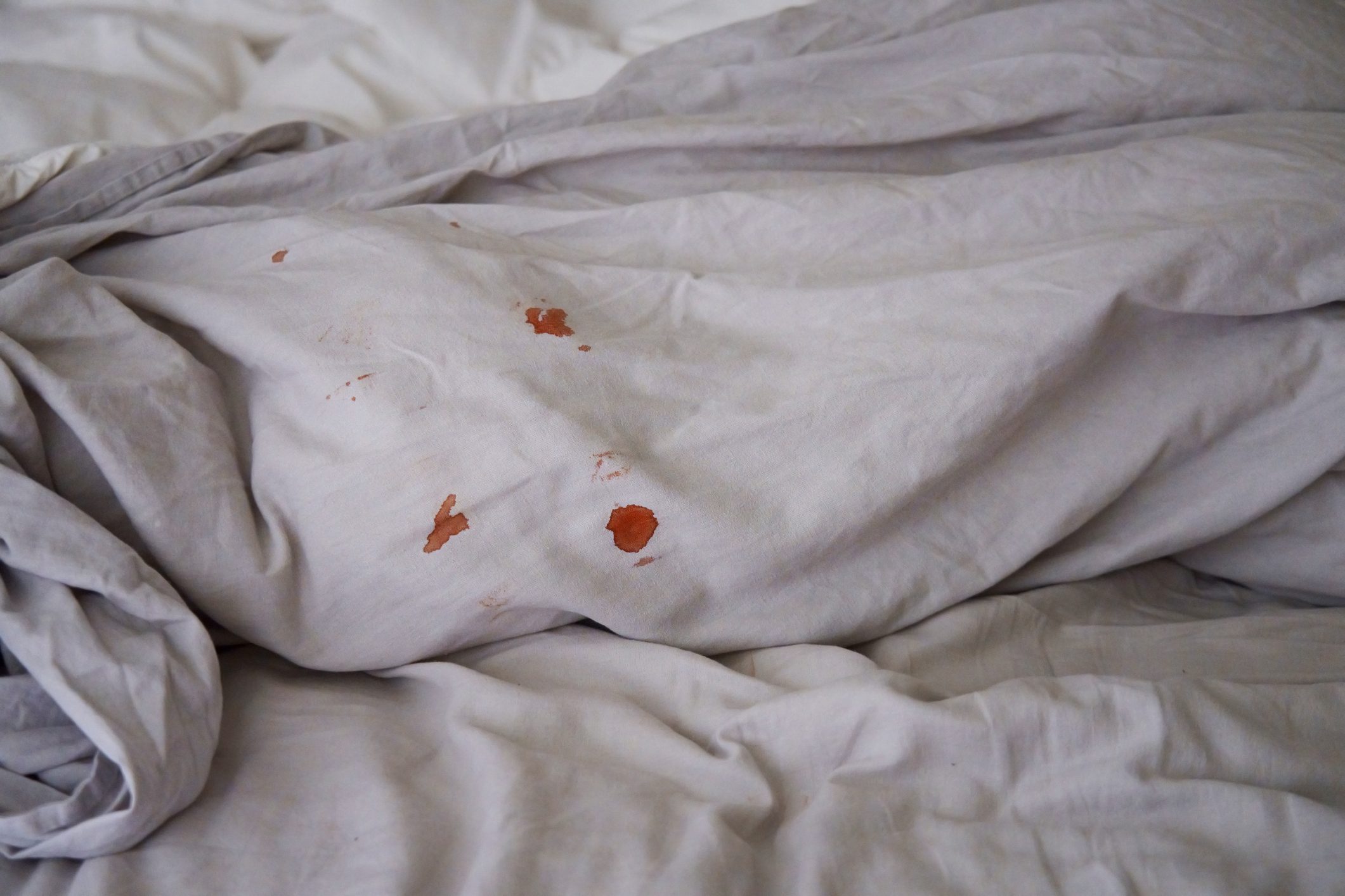 Blood spots on grey bedding in bedroom